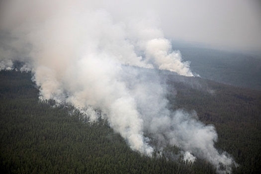 Лесные пожары в Австралии: объявлена эвакуация