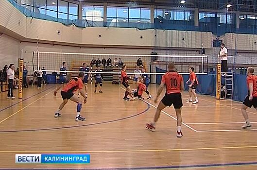 В Калининградской области стартовал чемпионат области по волейболу