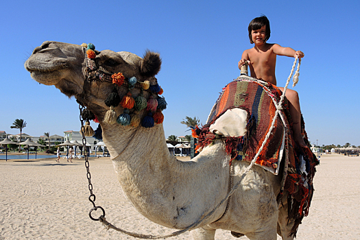 Нетаньяху обвинил Египет в нарушении мирного соглашения