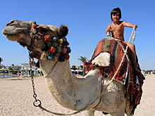 Нетаньяху обвинил Египет в нарушении мирного соглашения