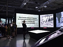 В системе образования Краснодарского края стартовали тематические мероприятия Года защитника Отечества