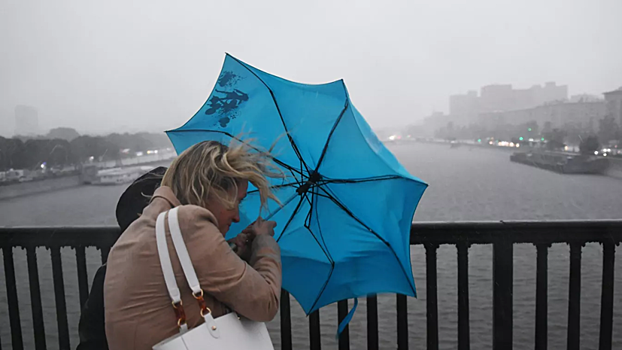 Синоптик рассказал о погоде в Москве на предстоящей неделе