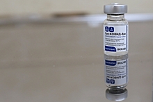 Запись на вакцинацию от COVID-19 в Петербурге будет открыта на портале госуслуг с февраля