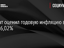 Росстат оценил годовую инфляцию в мае в 6,02%