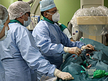 В преддверии Дня российской науки в Санкт-Петербургском педиатрическом университете рассказали, какие медицинские исследования самые востребованные