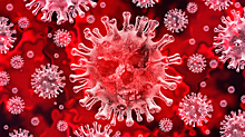 Минздрав: ситуация с коронавирусом в стране стала управляемой