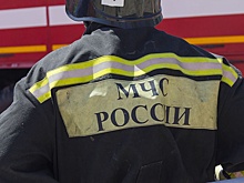 При пожаре на птицефабрике в Приморье погибли 30 тысяч птиц