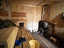 Бастрыкин подключился к конфликту чиновника с банщиком из-за слов о свинье