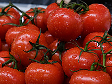 Диетолог назвала помогающий от перепадов настроения продукт