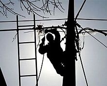 Из-за кражи высоковольтных проводов 25 тысяч жителей Тосненского района Ленобласти остались без света