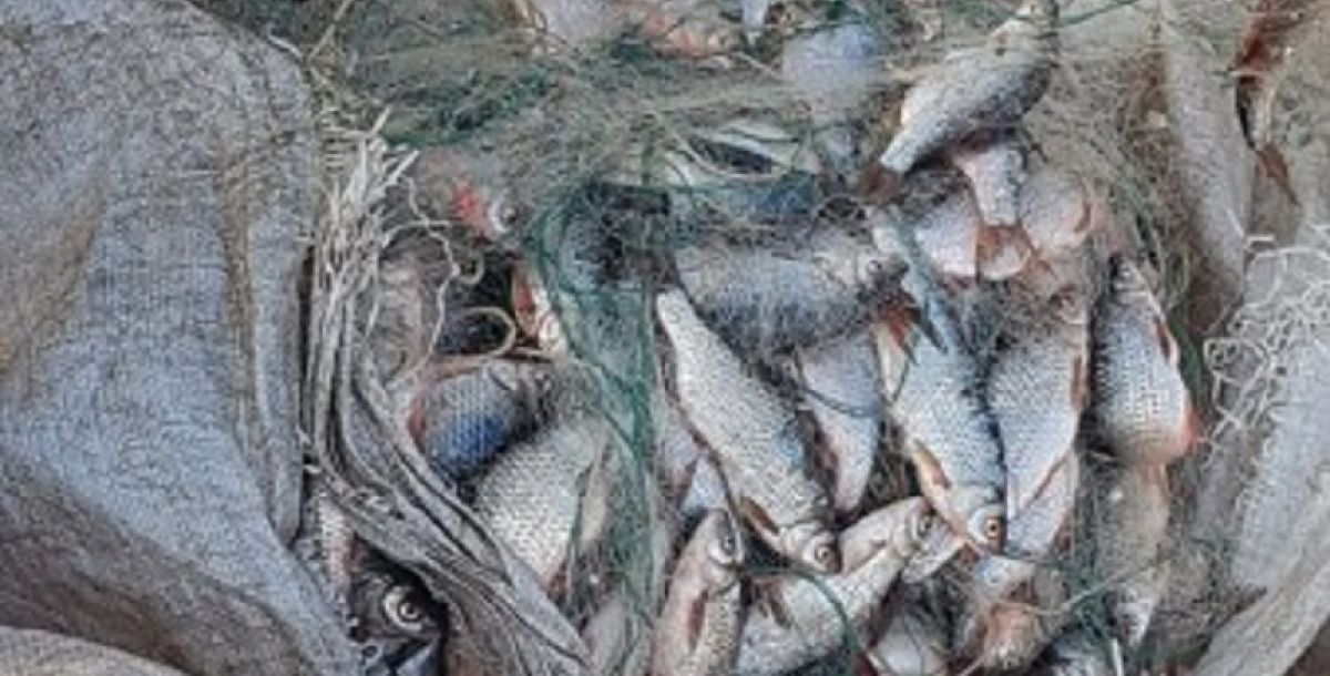 На Маныче изъято 240 метров рыболовной сети