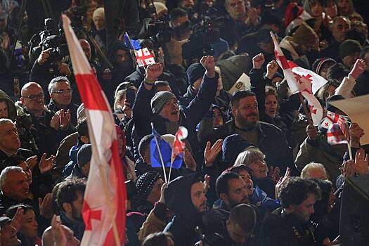 USAID значительно увеличило поддержку гражданского общества Грузии накануне протестов