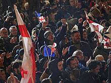 USAID значительно увеличило поддержку гражданского общества Грузии накануне протестов