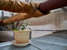 На высоте: женщины достигают высот в «мужских» специальностях