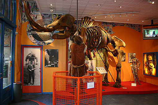 Заглавное изображение Музей Believe It or Not!