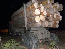 В Усвятском районе задержали водителя с грузом древесины