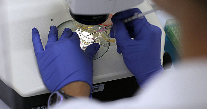 Nature (Великобритания): мощный эффект японской политики по стволовым клеткам