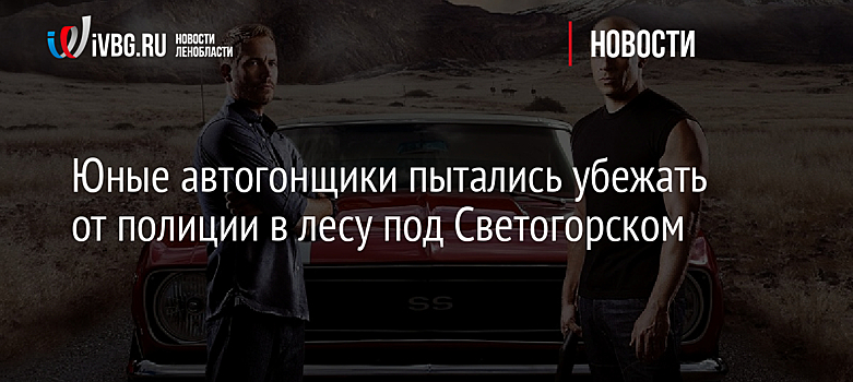 Юные автогонщики пытались убежать от полиции в лесу под Светогорском