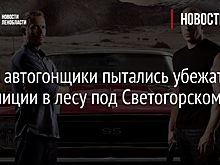 Юные автогонщики пытались убежать от полиции в лесу под Светогорском