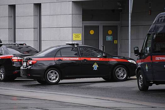 СК отреагировал на ампутацию кистей пациентке московского соццентра