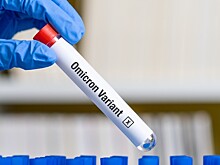 Смоет ли волна «омикрона» пандемию коронавируса?