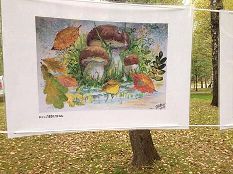 Участники «Московского долголетия» выставили свои рисунки в парке на Угличской