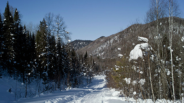 Россию отметили на глобальной карте бездорожья