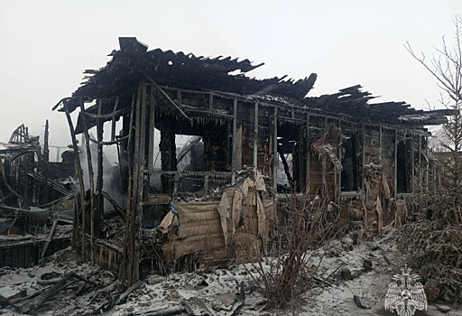 В Цимлянском районе на пожаре спасли брата и сестру