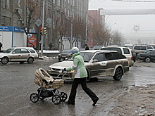 Цифровой помощник семьи для новосибирских соцработников появится в 2024 году