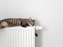 Автоэксперт Попов назвал лёгкий способ понять, пора ли менять зимнюю резину