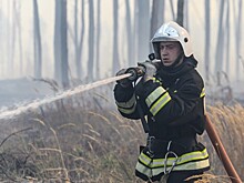 Россиян предупредили о массовых лесных пожарах из-за аномальной жары