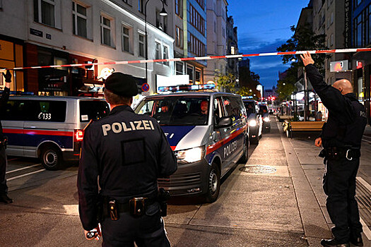 Глава МВД Австрии подтвердил, что устроивший теракт в Вене действовал в одиночку