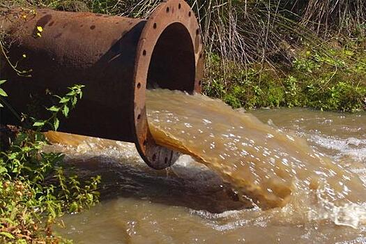 Богородск: экология речки Рязанки высвечивает системные проблемы