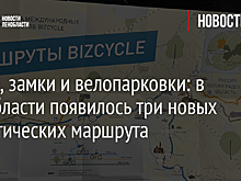 Звери, замки и велопарковки: в Ленобласти появилось три новых туристических маршрута