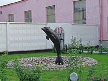 Экс-сотрудник ЮКОСа Пичугин вернулся в «Черный дельфин» в Соль-Илецке