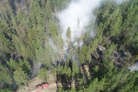 МЧС отправляет в Забайкалье 100 пожарных из-за ожидаемой сухой и ветреной погоды