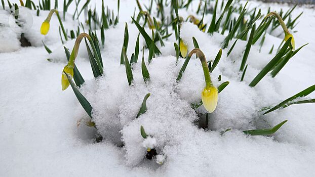 До +1 потеплеет на неделе в Удмуртии