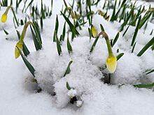 До +1 потеплеет на неделе в Удмуртии