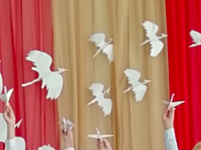 Во Владивостоке научили белых журавлей летать