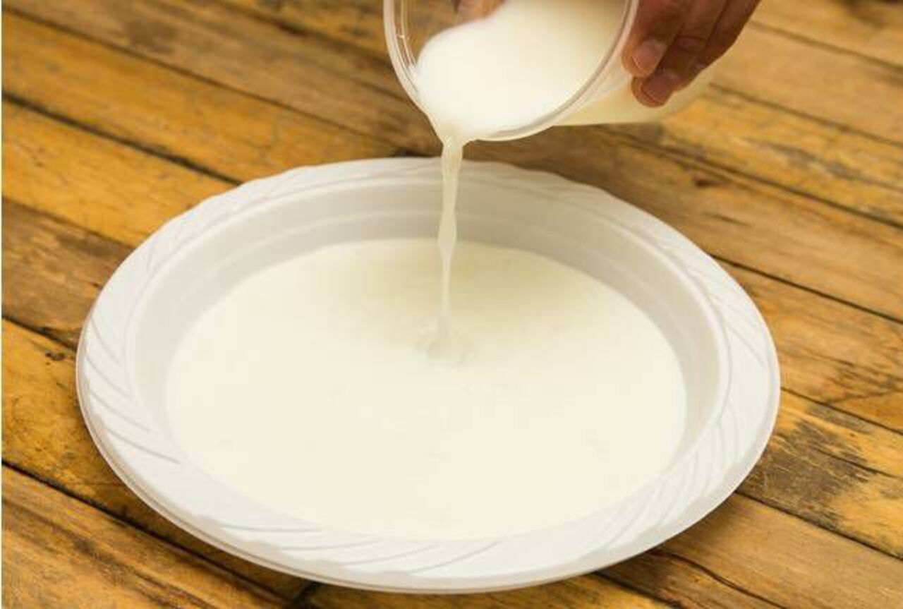 Молоко в миске для кошки. Кошка лакает молоко. Котенок рыжий пьет молоко. Кошка лакает. Молоко для кошки картинки.