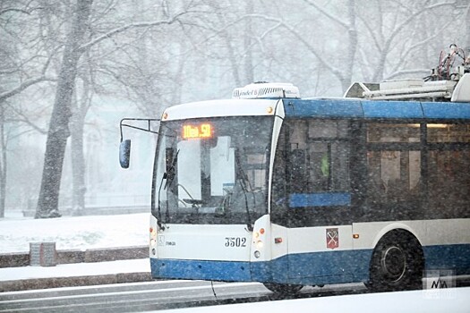 В Петербурге сократят число маршрутов наземного общественного транспорта