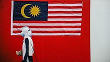 Малайзия решила заняться «орангутановой дипломатией»