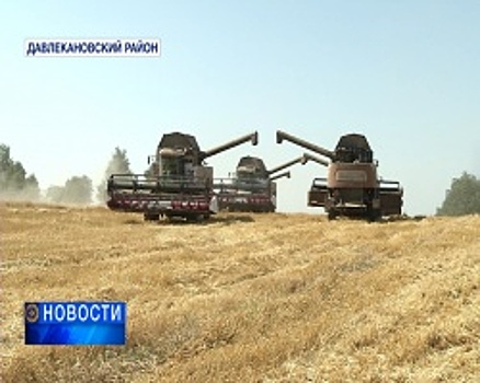 В Башкортостане аграриям предоставили льготную ставку по кредитам