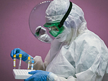 7 975 новых случаев COVID-19 выявили в России