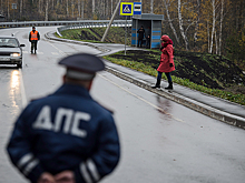 Приложение «Народный инспектор» подготовят для россиян в 2024 году