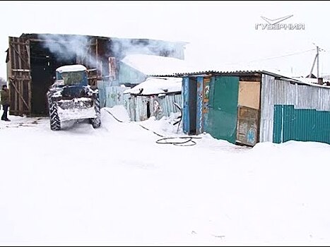 Общее дело: как сельскохозяйственные кооперативы помогают аграриям в Самарской области