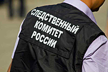 На десятиклассника из Новосибирска завели уголовное дело за фейк о Вооруженных силах России
