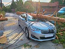 В Тольятти дерево раздавило едущий автомобиль: водителя увезли в больницу