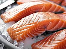 Эксперты рассказали, сколько белка нужно есть в день