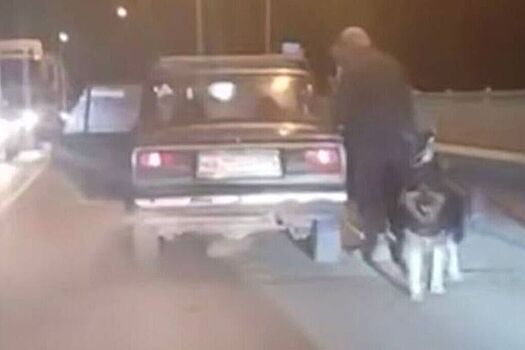 В российском городе мужчина привязал собаку к бамперу и тащил ее за машиной